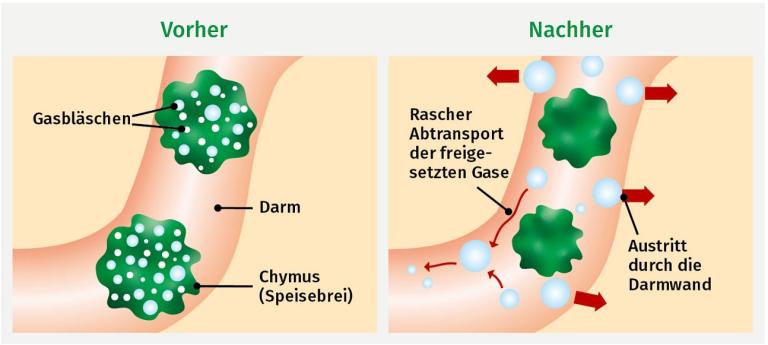 Vorher Nachher
